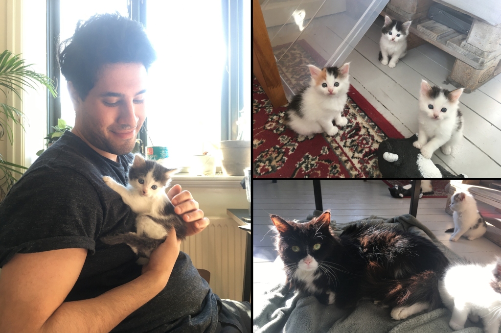 A photo of Danial with his cats